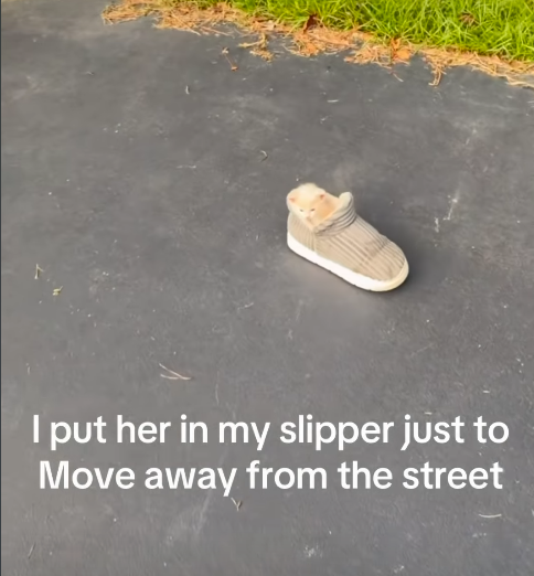 I put her in my slipper just to Move away from the street