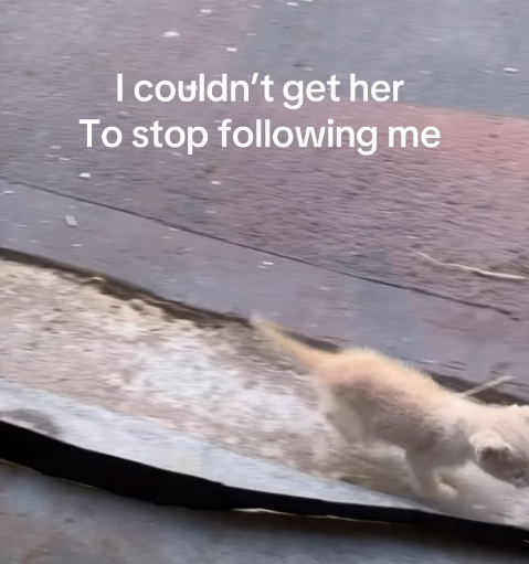 I couldn't get her To stop following me