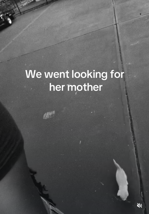 We went looking for her mother