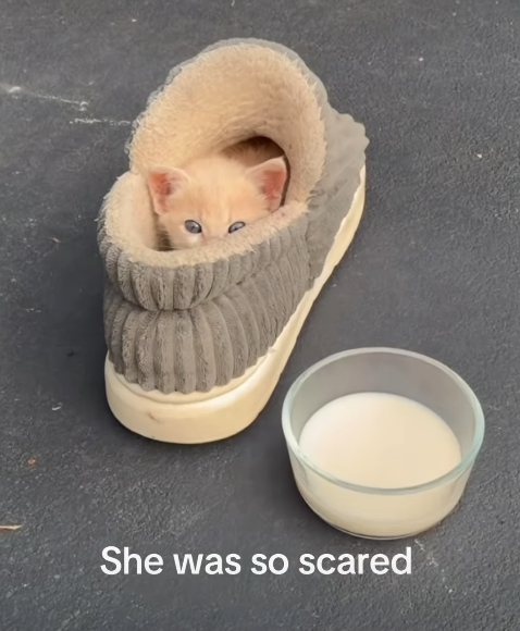 She was so scared