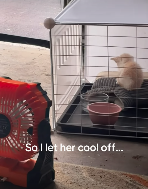 CE S So I let her cool off...