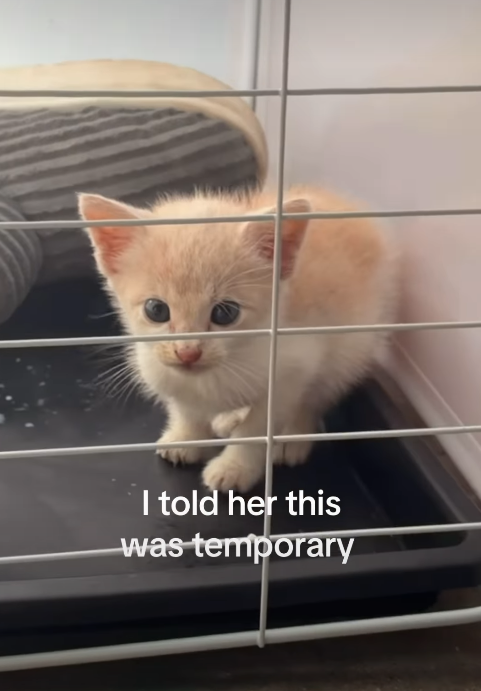 I told her this was temporary