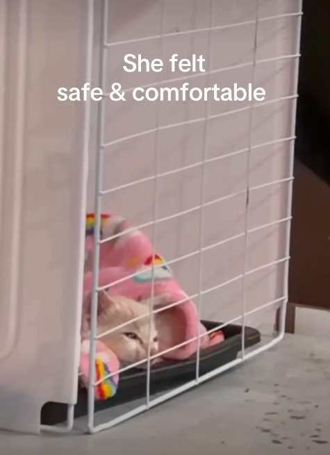 She felt safe & comfortable