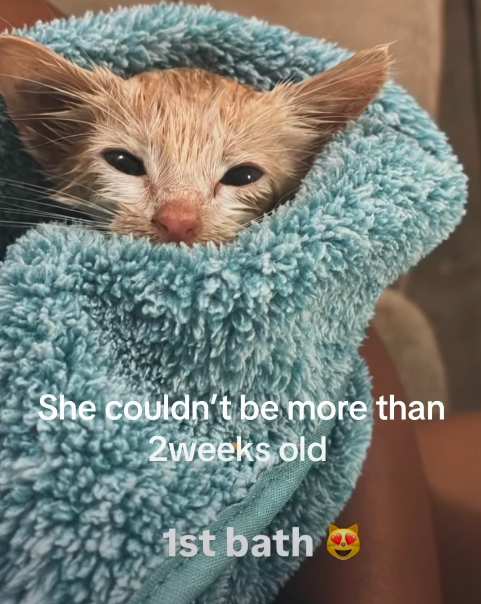 She couldn't be more than 2weeks old 1st bath