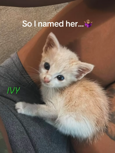 IVY So I named her...