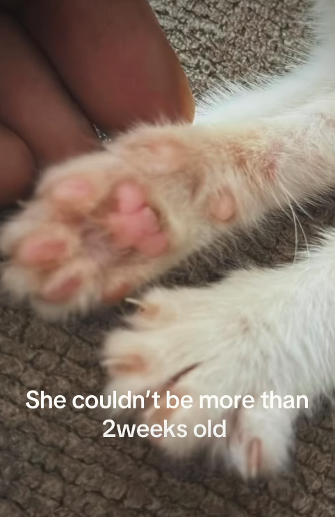 She couldn't be more than 2weeks old