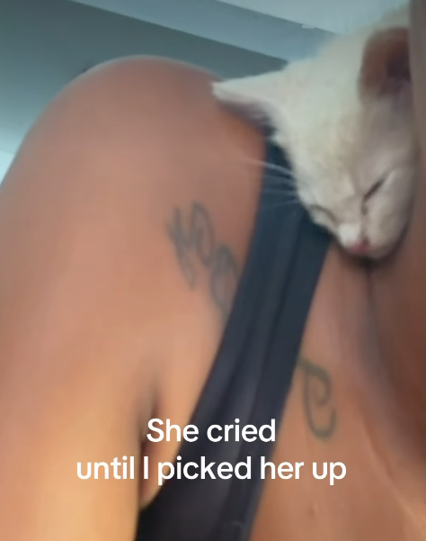 She cried until I picked her up