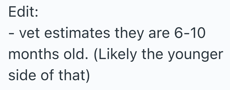 Edit: - vet estimates they are 6-10 months old. (Likely the younger side of that)