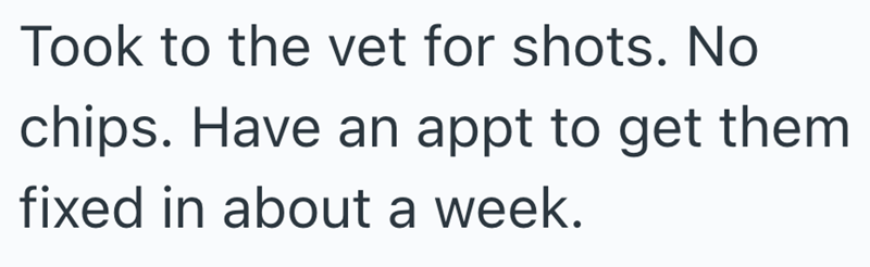 Took to the vet for shots. No chips. Have an appt to get them fixed in about a week.