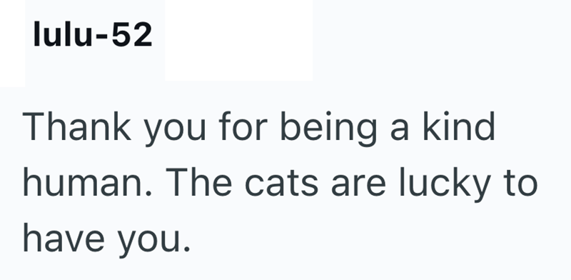 lulu-52 Thank you for being a kind human. The cats are lucky to have you.