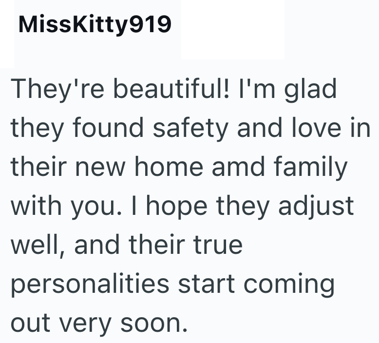 MissKitty 919 They're beautiful! I'm glad they found safety and love in their new home amd family with you. I hope they adjust well, and their true personalities start coming out very soon.