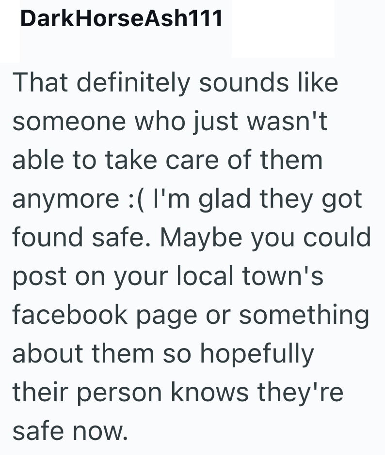 DarkHorseAsh111 That definitely sounds like someone who just wasn't able to take care of them anymore :( I'm glad they got found safe. Maybe you could post on your local town's facebook page or something about them so hopefully their person knows they're safe now.