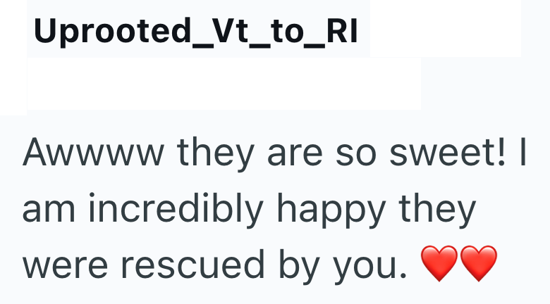 Uprooted_Vt_to_RI Awwww they are so sweet! I am incredibly happy they were rescued by you.