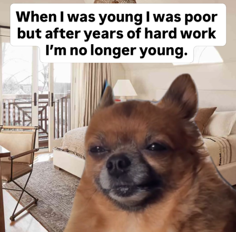 When I was young I was poor but after years of hard work I'm no longer young.