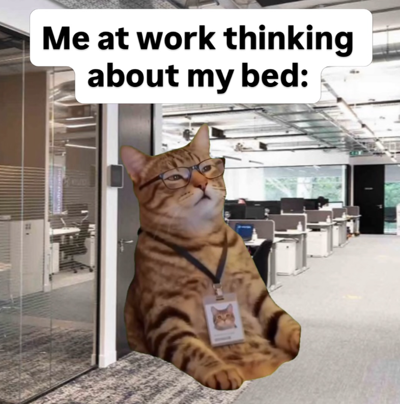 Me at work thinking about my bed: