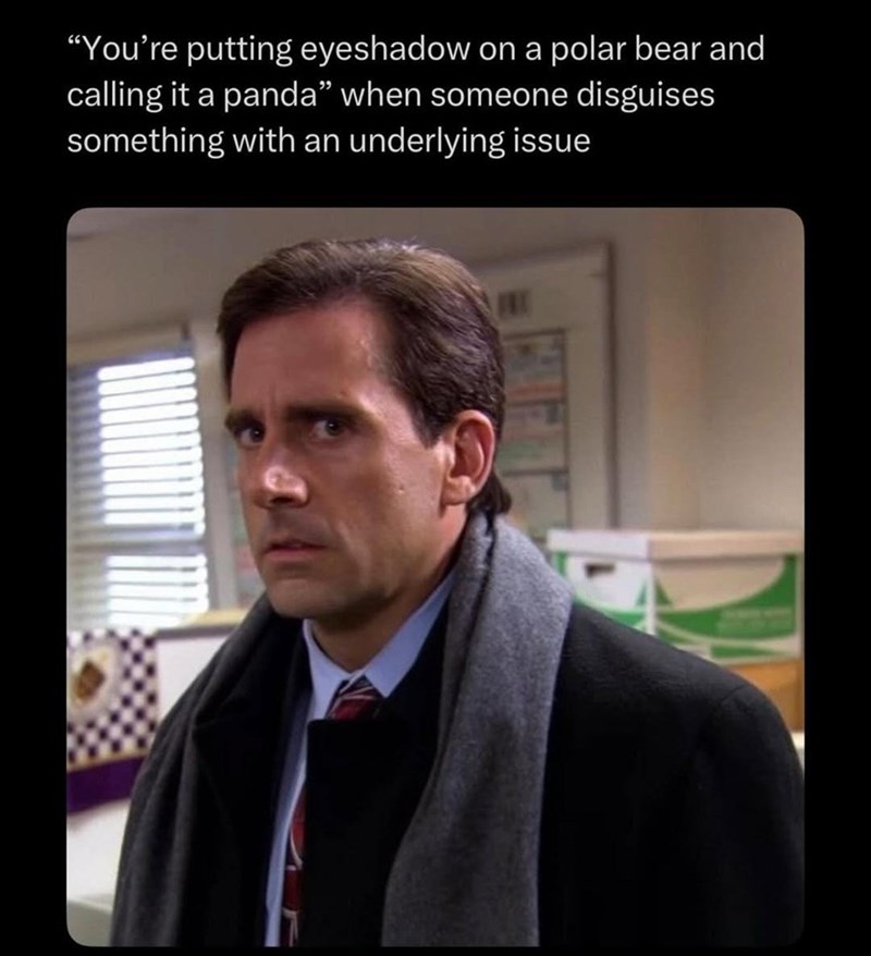 "You're putting eyeshadow on a polar bear and calling it a panda" when someone disguises something with an underlying issue