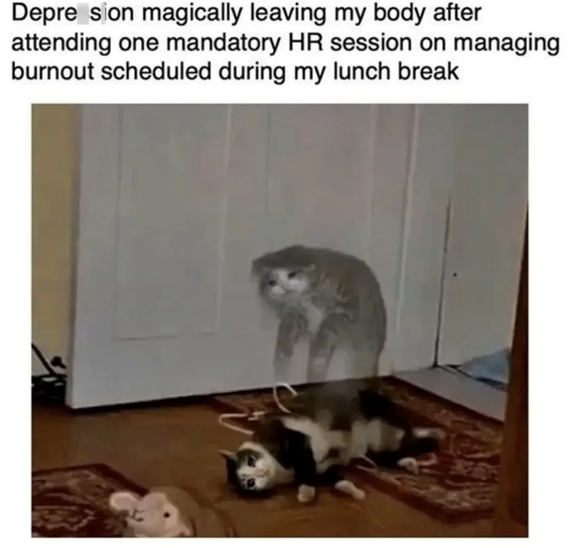 Depresion magically leaving my body after attending one mandatory HR session on managing burnout scheduled during my lunch break