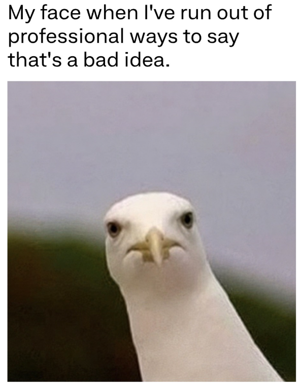 My face when I've run out of professional ways to say that's a bad idea.