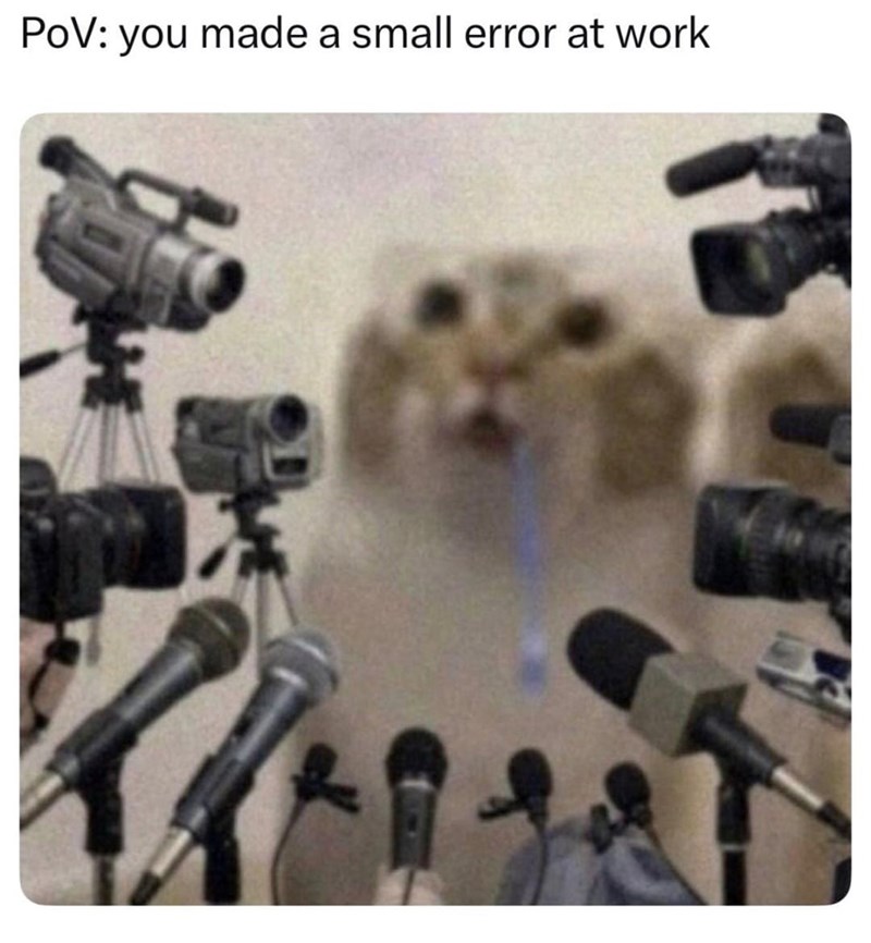 POV: you made a small error at work