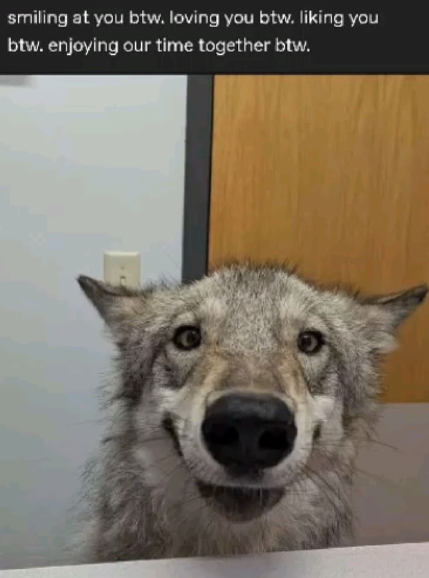 smiling at you btw. loving you btw. liking you btw. enjoying our time together btw.