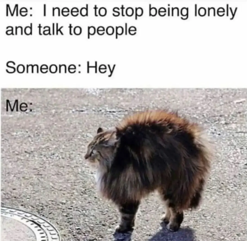 Me: I need to stop being lonely and talk to people Someone: Hey Me: