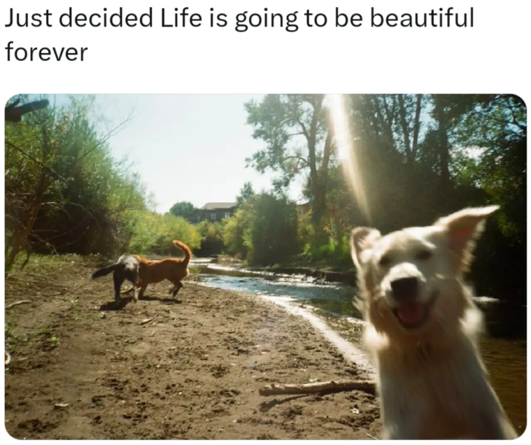 Just decided Life is going to be beautiful forever