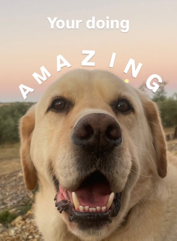Your doing AMAZING