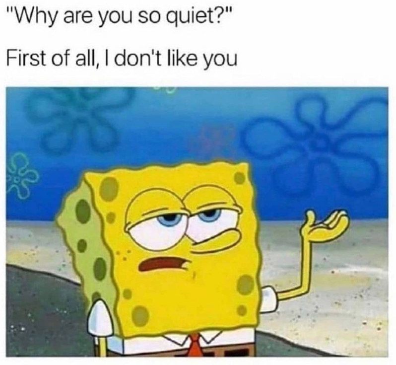 "Why are you so quiet?" First of all, I don't like you