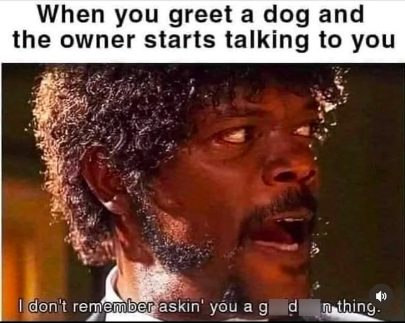 When you greet a dog and the owner starts talking to you I don't remember askin' you a g dn thing.