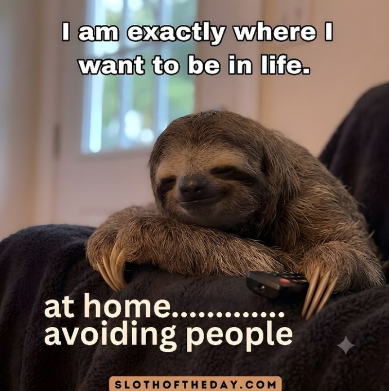 I am exactly where I want to be in life. at home........ avoiding people SLOTHOFTHEDAY.COM