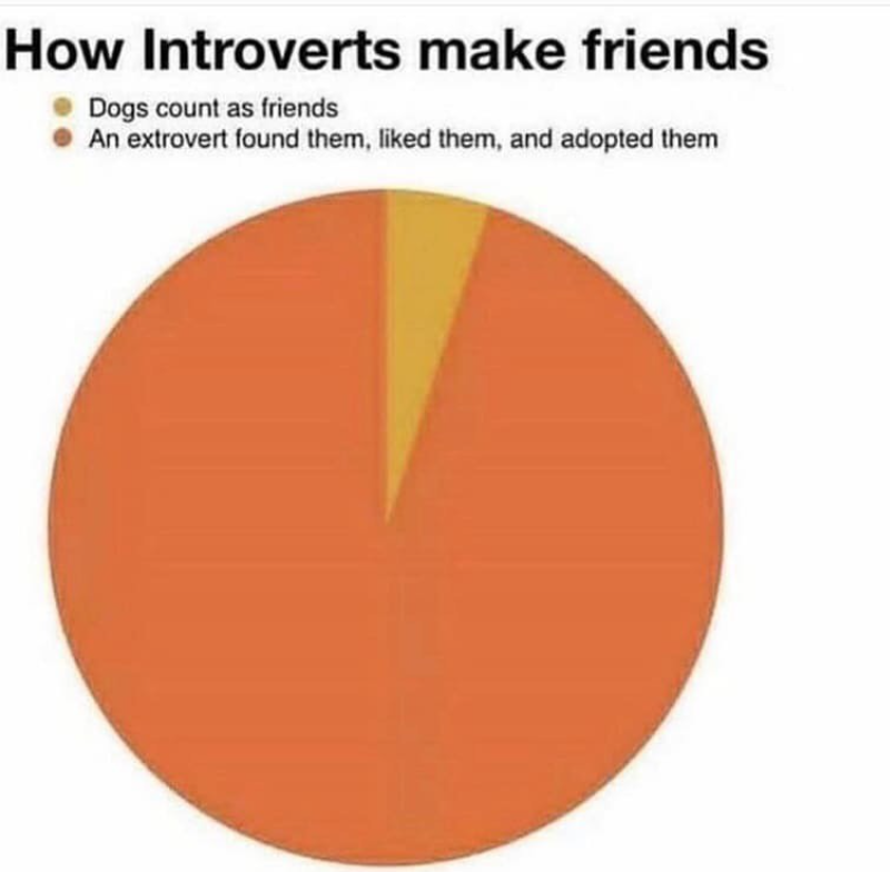 How Introverts make friends Dogs count as friends An extrovert found them, liked them, and adopted them
