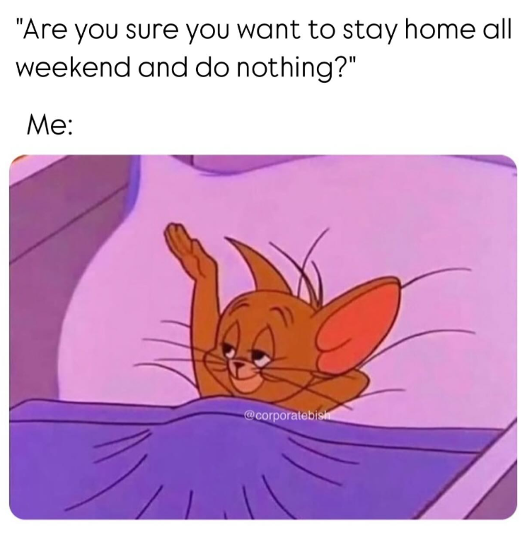 "Are you sure you want to stay home all weekend and do nothing?" Me: @corporatebisht
