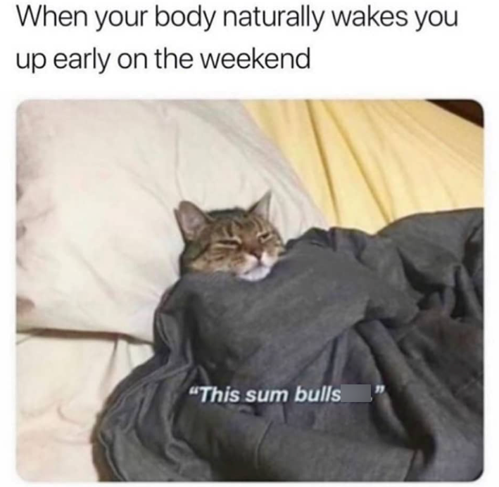When your body naturally wakes you up early on the weekend "This sum bulls