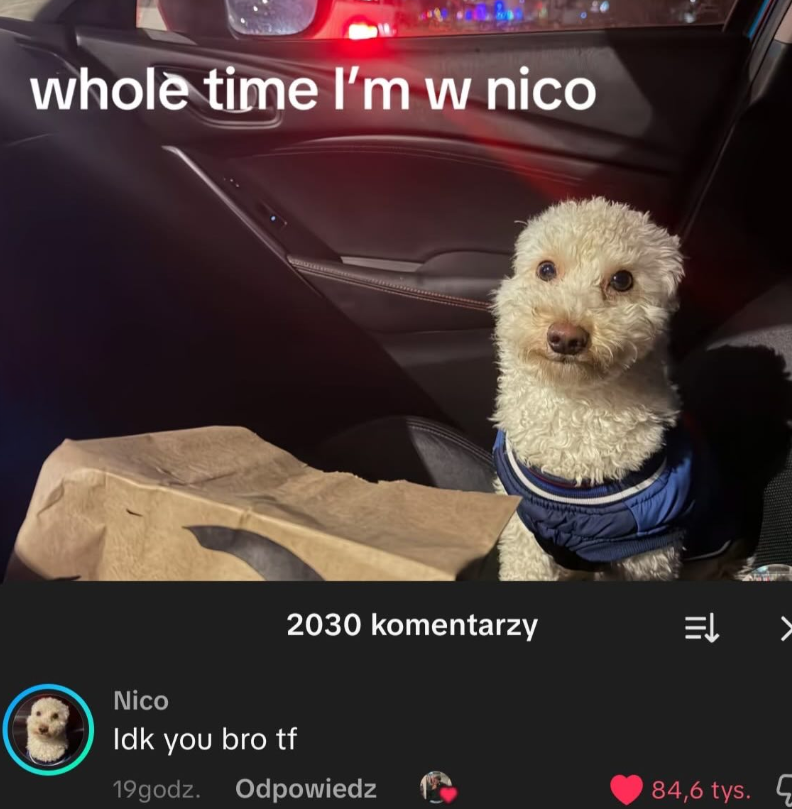 whole time I'm w nico Nico Idk you bro tf 19godz. 2030 komentarzy ⇒ > Odpowiedz 84,6 tys.