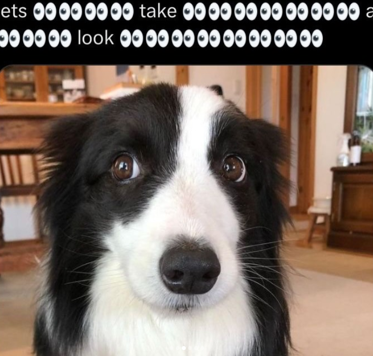 00000000= ets 00000000 take 000000 00 00 00 00 a 000000 look 0000000000000000