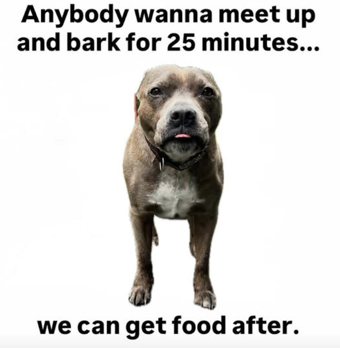 Anybody wanna meet up and bark for 25 minutes... we can get food after.