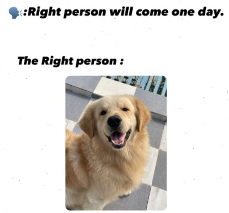 Right person will come one day. The Right person: