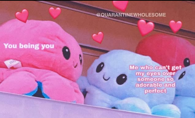 @QUARANTINE WHOLESOME You being you Me who can't get my eyes over someone so adorable and perfect