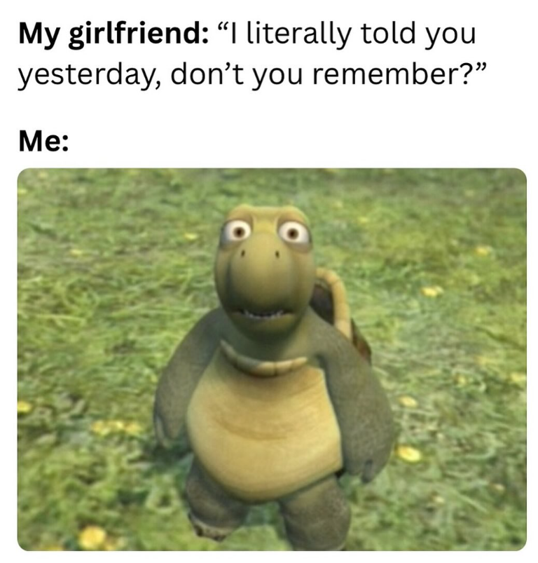 My girlfriend: "I literally told you yesterday, don't you remember?" Me: