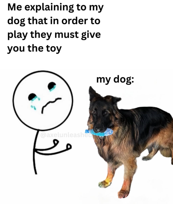 Me explaining to my dog that in order to play they must give you the toy my dog: @axelunleashede