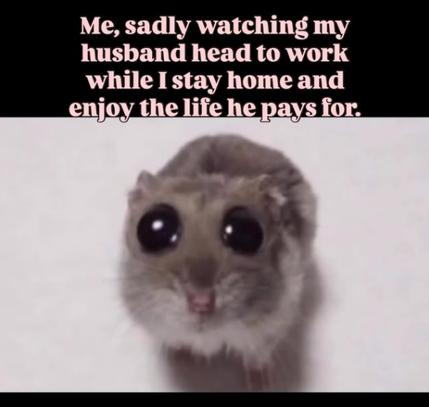 Me, sadly watching my husband head to work while I stay home and enjoy the life he pays for.
