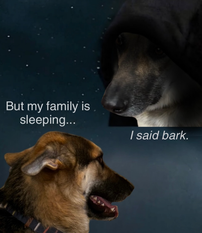 But my family is sleeping... I said bark.