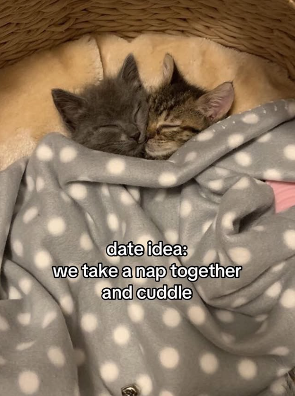 date idea: we take a nap together and cuddle