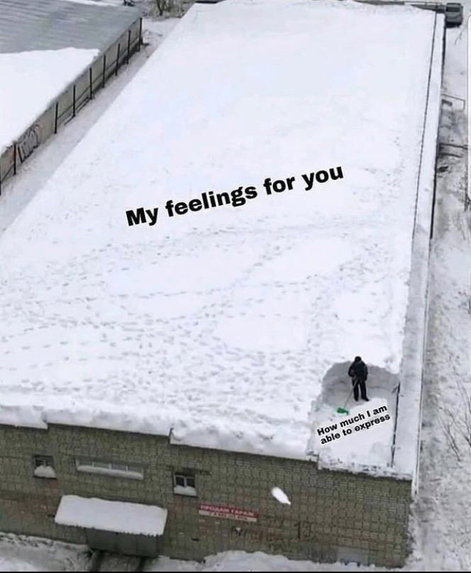 My feelings for you How much I am able to express