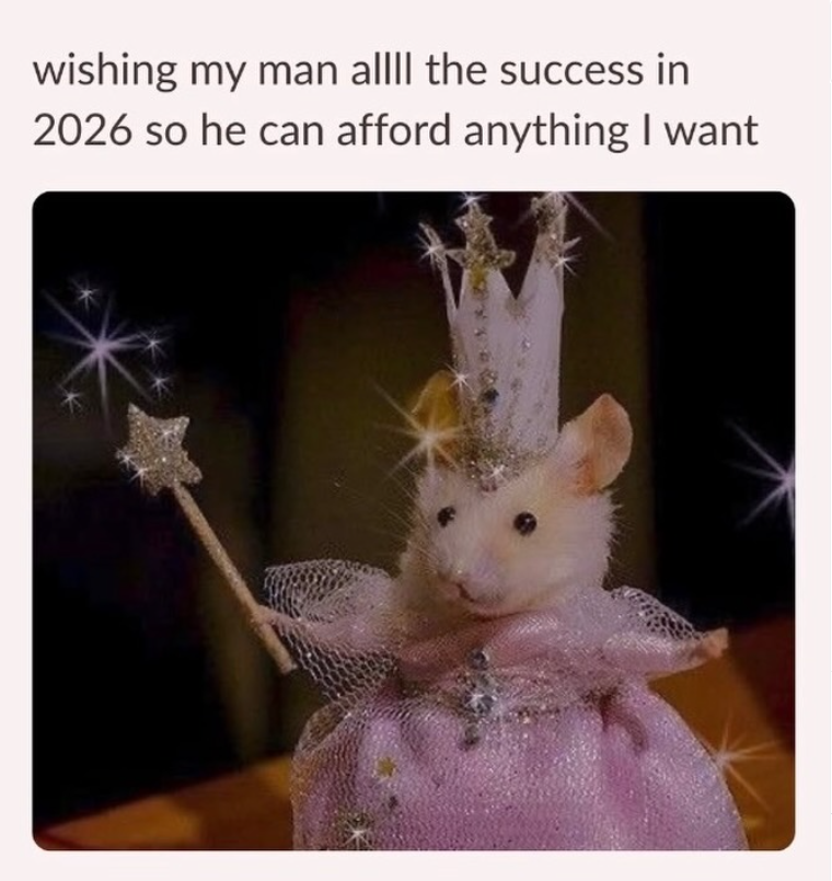 wishing my man allll the success in 2026 so he can afford anything I want