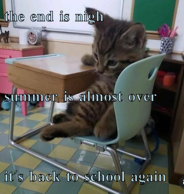 the end is nigh summer is almost over it's back to school again