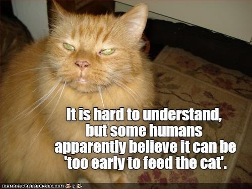 It is hard to understand, but some humans apparently believe it can be 'too early to feed the cat'. ICANHASCHEEZBURGER.COM