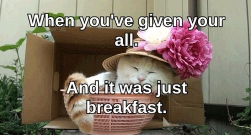 When you've given your all And it was just breakfast.