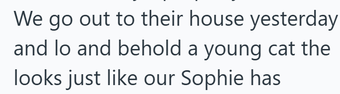 We go out to their house yesterday and lo and behold a young cat the looks just like our Sophie has