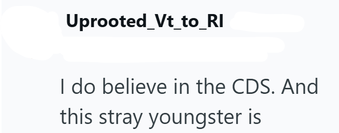 Uprooted_Vt_to_RI I do believe in the CDS. And this stray youngster is